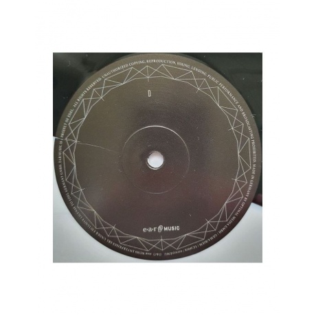 4029759110712, Виниловая пластинка Tarja, The Shadow Self (coloured) - фото 8