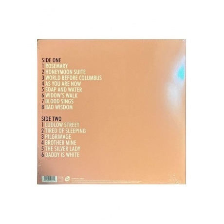 Suzanne Vega - Songs Of Family (0711297492415) виниловая пластинка - фото 2