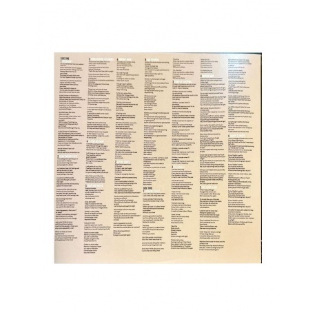 Suzanne Vega - Songs Of Family (0711297492415) виниловая пластинка - фото 4