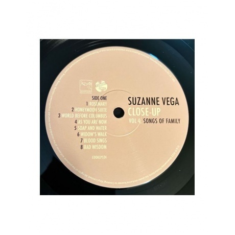 Suzanne Vega - Songs Of Family (0711297492415) виниловая пластинка - фото 5