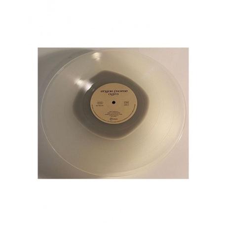 Edgar Froese - Ages (coloured) (3700477835484) виниловая пластинка - фото 11