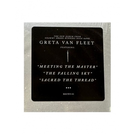 Greta Van Fleet - Starcatcher (coloured) (0602455635242) виниловая пластинка - фото 3