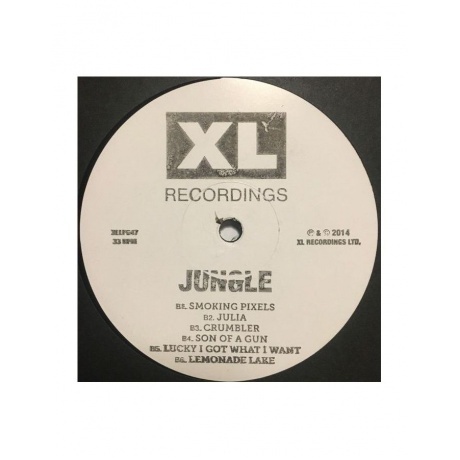 0191404092712, Jungle, For Ever виниловая пластинка - фото 3