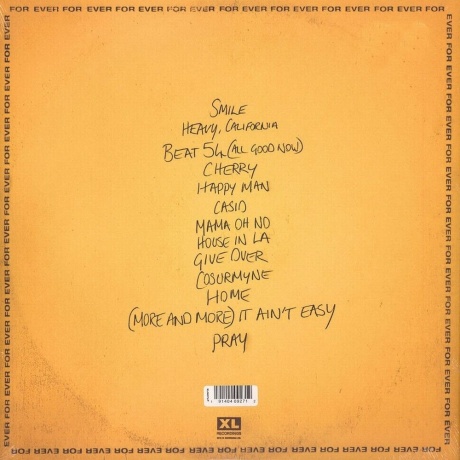 Jungle - For Ever (0191404092712) виниловая пластинка - фото 2