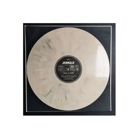 5056167160991, Jungle, Loving In Stereo виниловая пластинка - фото 6