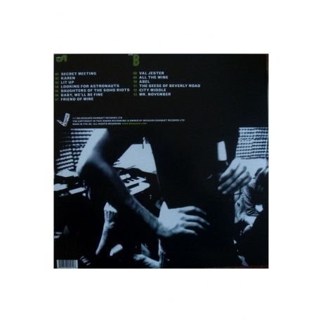 The National - Alligator (0607618024116) виниловая пластинка - фото 2