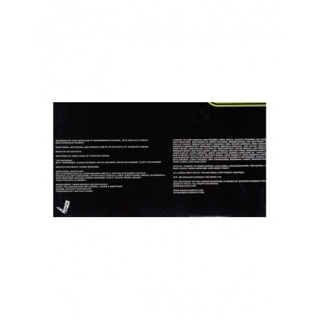 The National - Alligator (0607618024116) виниловая пластинка - фото 5