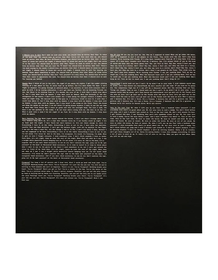 0652637331516, Виниловая пластинка National, The, Trouble Will Find Me - фото 12