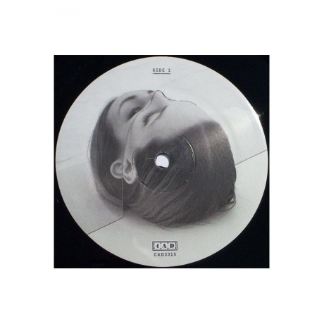 0652637331516, Виниловая пластинка National, The, Trouble Will Find Me - фото 5