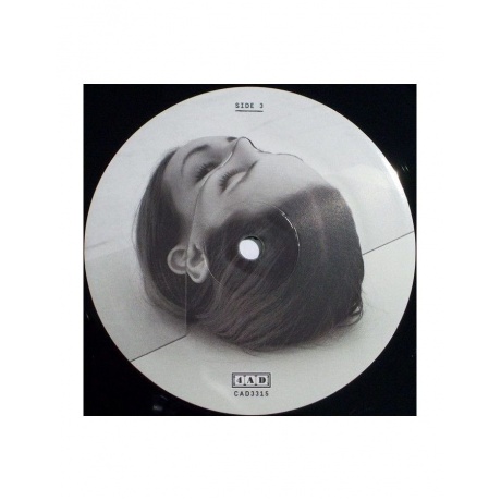 0652637331516, Виниловая пластинка National, The, Trouble Will Find Me - фото 7