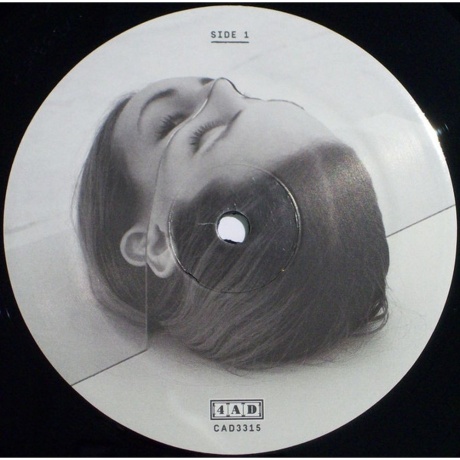 The National - Trouble Will Find Me (0652637331516) виниловая пластинка - фото 5