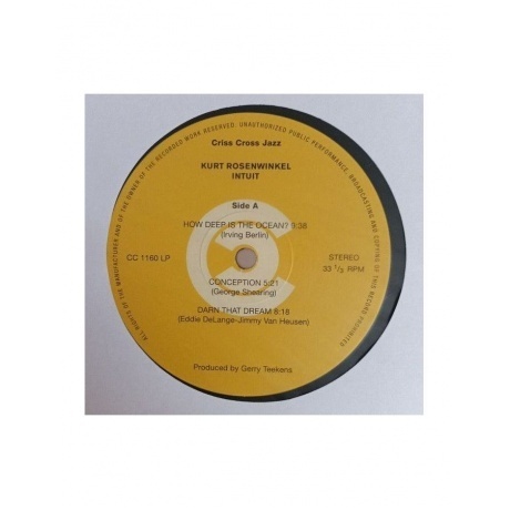 Kurt Rosenwinkel - Intuit (Audiophile Edition) (8435395503515) виниловая пластинка - фото 5