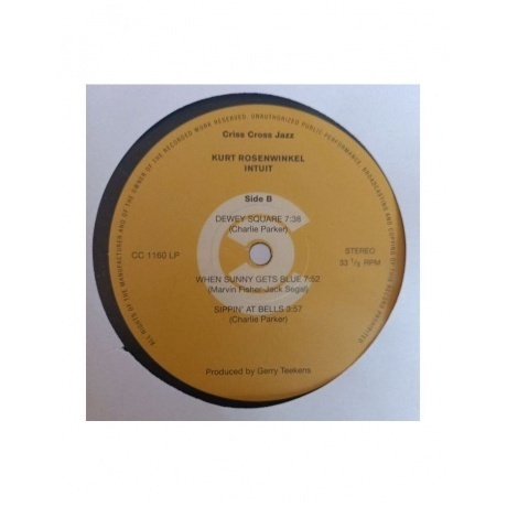 Kurt Rosenwinkel - Intuit (Audiophile Edition) (8435395503515) виниловая пластинка - фото 6