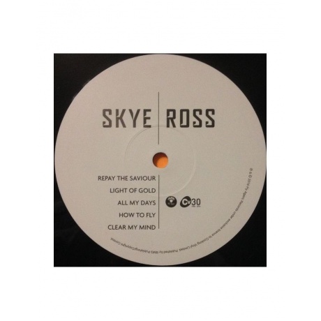 0711297315615, Виниловая пластинка Skye &amp; Ross, Skye &amp; Ross - фото 4