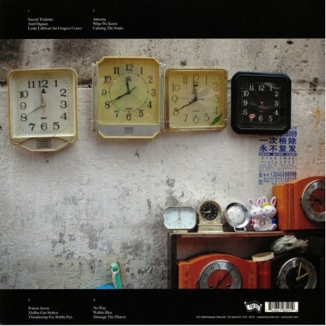 Sonic Youth - The Eternal (0744861082910) виниловая пластинка - фото 2