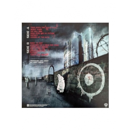 Arch Enemy - Anthems Of Rebellion (0196588050718) виниловая пластинка - фото 2