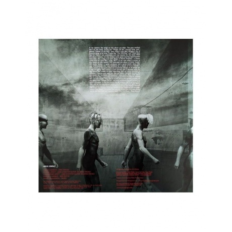 Arch Enemy - Anthems Of Rebellion (0196588050718) виниловая пластинка - фото 4