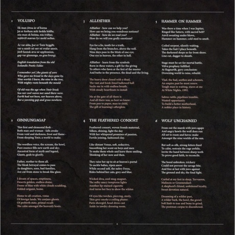 Jethro Tull - RokFlote (0196587768911) виниловая пластинка - фото 11