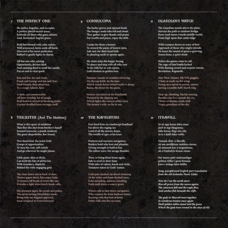 Jethro Tull - RokFlote (0196587768911) виниловая пластинка - фото 12