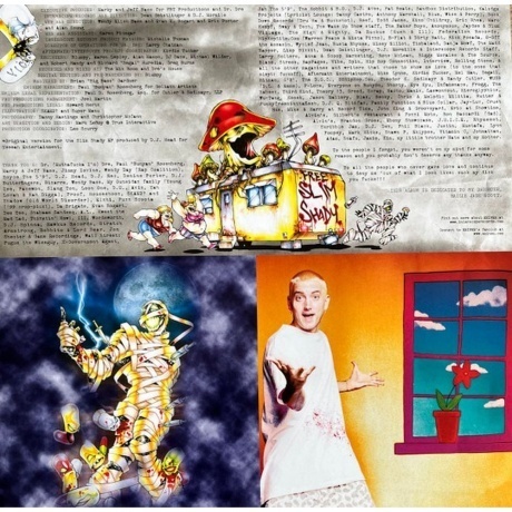 Eminem - The Slim Shady LP (0606949028718) виниловая пластинка - фото 8