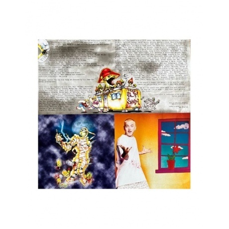 Eminem - The Slim Shady LP (0606949028718) виниловая пластинка - фото 9