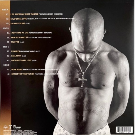 0602435217345, Виниловая пластинка 2Pac, The Best Of (Thug) - фото 4