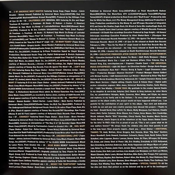 0602435217345, Виниловая пластинка 2Pac, The Best Of (Thug) - фото 6