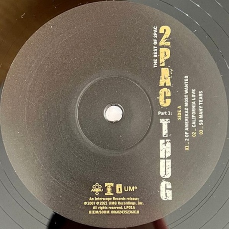0602435217345, Виниловая пластинка 2Pac, The Best Of (Thug) - фото 7
