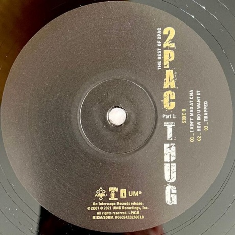 0602435217345, Виниловая пластинка 2Pac, The Best Of (Thug) - фото 8