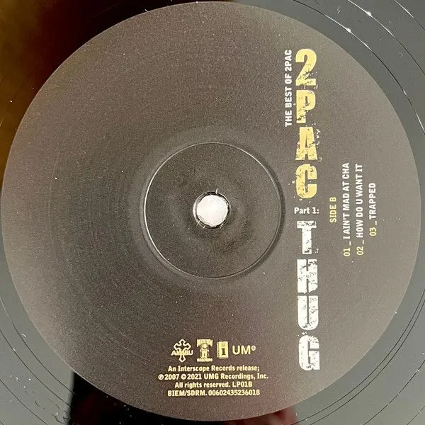 0602435217345, Виниловая пластинка 2Pac, The Best Of (Thug) - фото 8