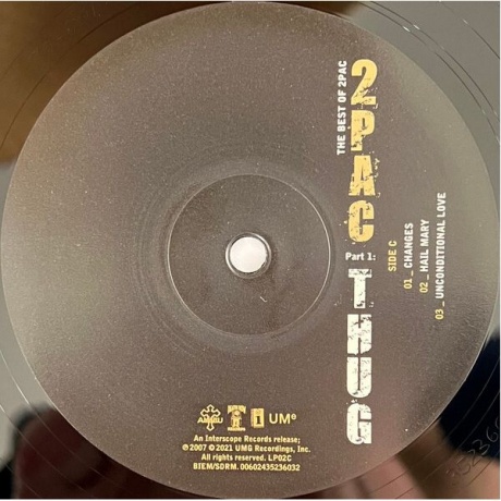 0602435217345, Виниловая пластинка 2Pac, The Best Of (Thug) - фото 9