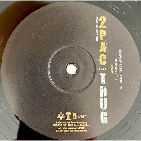 0602435217345, Виниловая пластинка 2Pac, The Best Of (Thug) - фото 10