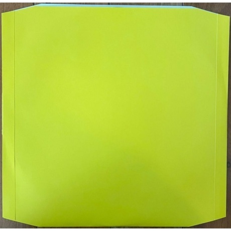 Paul McCartney - Wild Life (Half Speed) (0602435611730) виниловая пластинка - фото 6