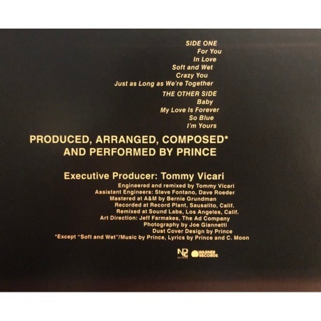 Prince - For You (0603497839452) виниловая пластинка - фото 3