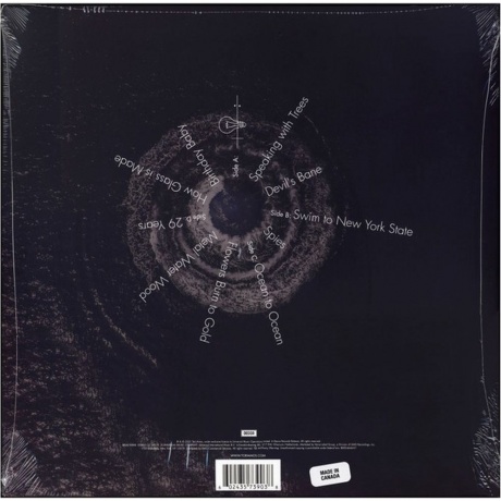 Tori Amos - Ocean To Ocean (0602435739038) виниловая пластинка - фото 2