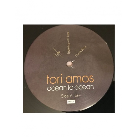 Виниловая пластинка Amos, Tori, Ocean To Ocean (0602435739038) - фото 5