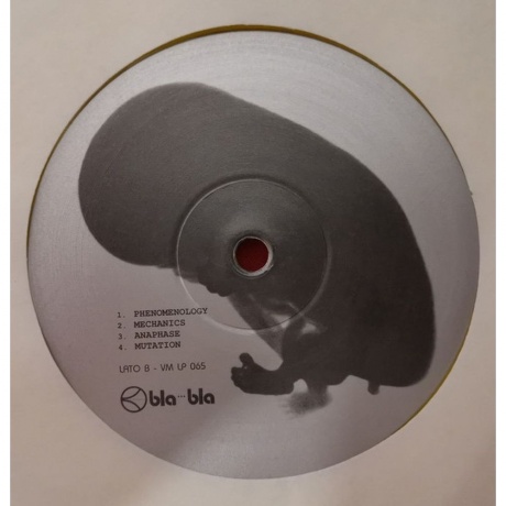 Franco Battiato - Foetus (coloured) (8016158116557) виниловая пластинка - фото 3