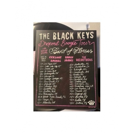 Black Keys - Dropout Boogie (0075597913576) виниловая пластинка - фото 9