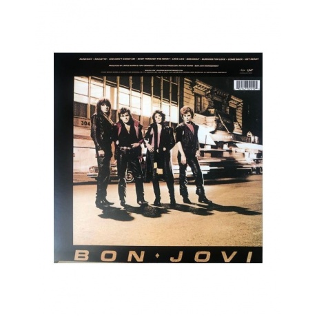 Виниловая пластинка Bon Jovi, Bon Jovi (0602547029195) - фото 2