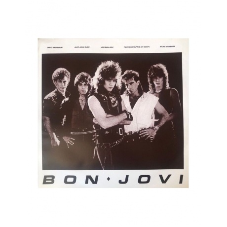 Виниловая пластинка Bon Jovi, Bon Jovi (0602547029195) - фото 5