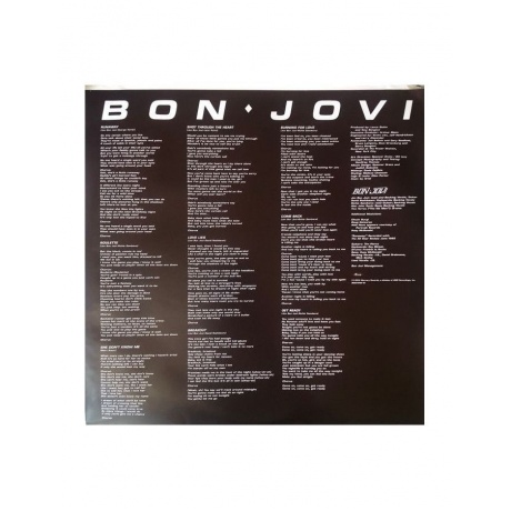 Виниловая пластинка Bon Jovi, Bon Jovi (0602547029195) - фото 6