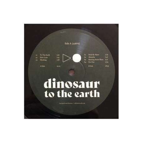 Виниловая пластинка Dinosaur, To The Earth (5060509790982) - фото 3