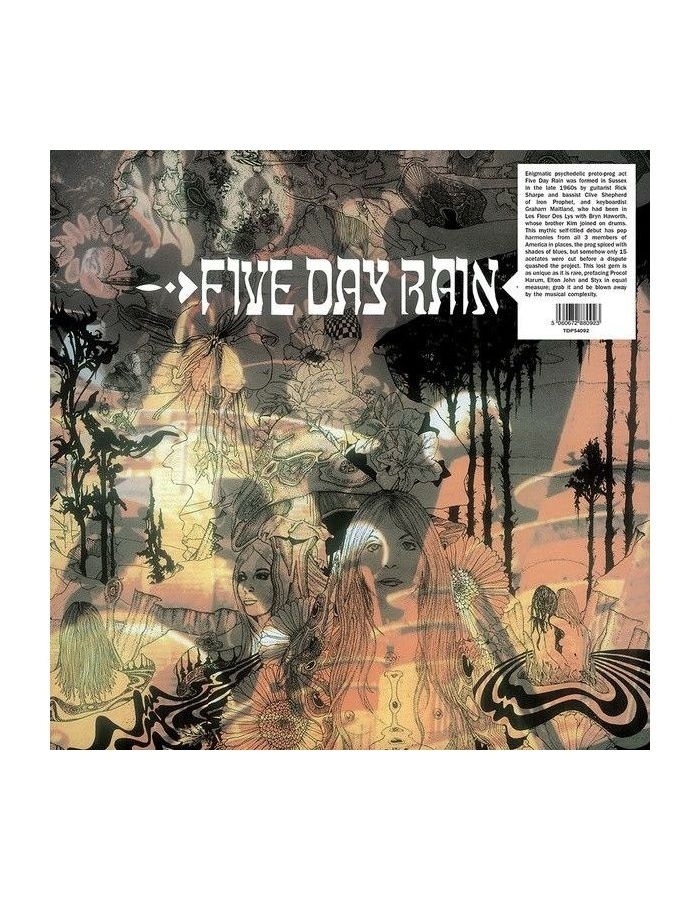 цена Виниловая пластинка Five Day Rain, Five Day Rain (5060672880923)