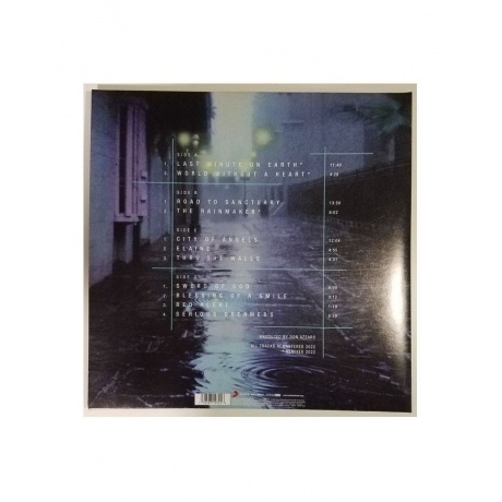 The Flower Kings - Rainmaker (0196587197216) виниловая пластинка - фото 2