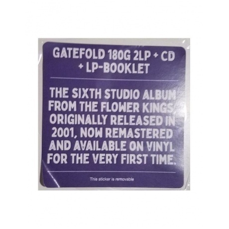 The Flower Kings - Rainmaker (0196587197216) виниловая пластинка - фото 6