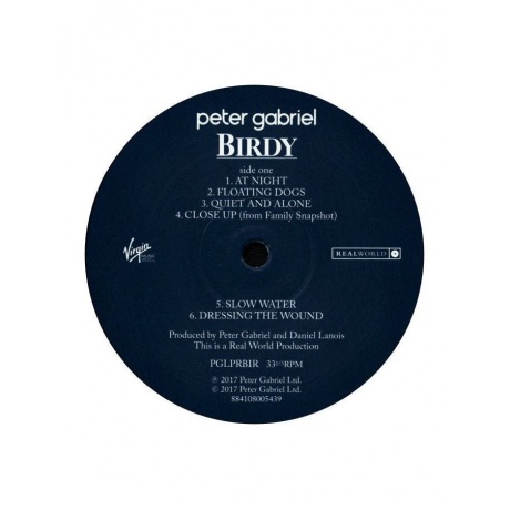 Виниловая пластинка Gabriel, Peter, Birdy (0884108005439) - фото 4