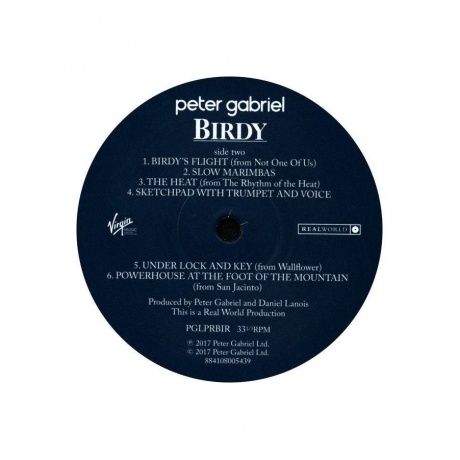 Виниловая пластинка Gabriel, Peter, Birdy (0884108005439) - фото 5