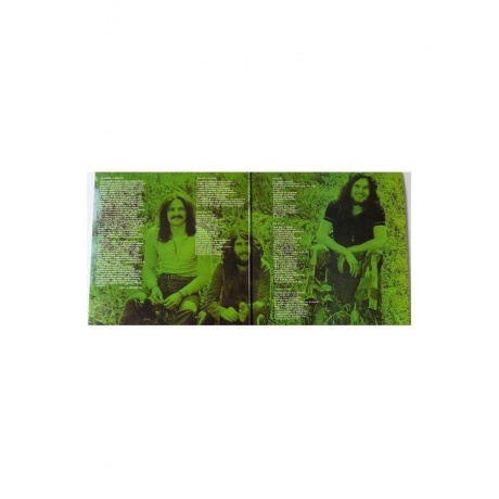 Виниловая пластинка Le Orme, Collage (coloured) (8016158017359) - фото 3