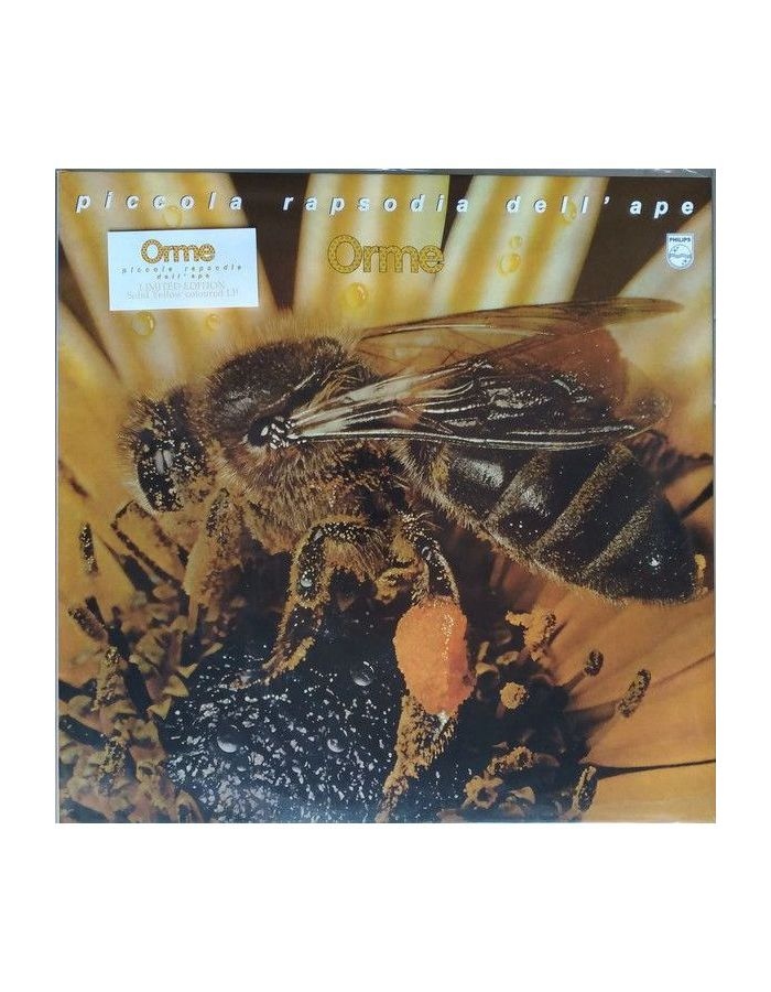 Виниловая пластинка Le Orme, Piccola Rapsodia Dell'Ape (coloured) (8016158019544) цена и фото