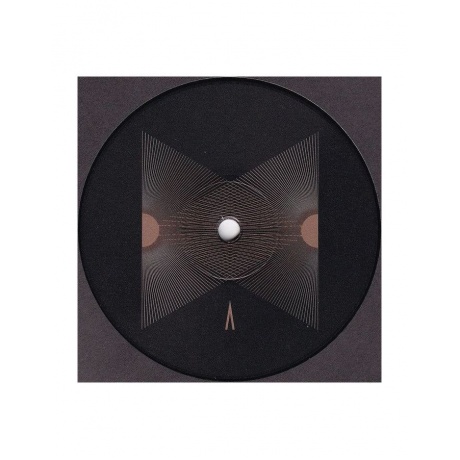 Виниловая пластинка Mars Volta, The, The Mars Volta (4250795605218) - фото 10